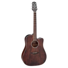 TAKAMINE GD21CE-SM