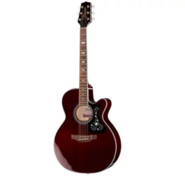 TAKAMINE GN75CE WR