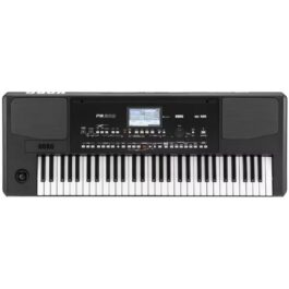 KORG PA300