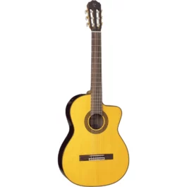 TAKAMINE GC5CENAT