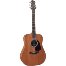 TAKAMINE GD11MNS