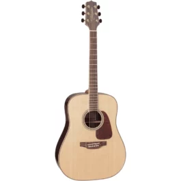 TAKAMINE GD93NAT