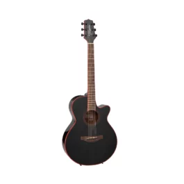 TAKAMINE GF49CE CB
