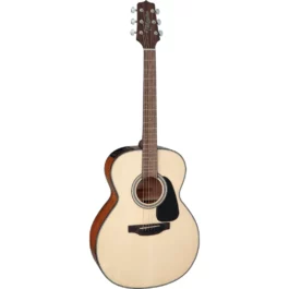 TAKAMINE GLN12ENS