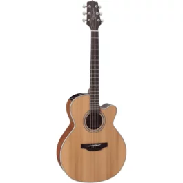 TAKAMINE GN20CENS