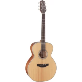 TAKAMINE GN20NS