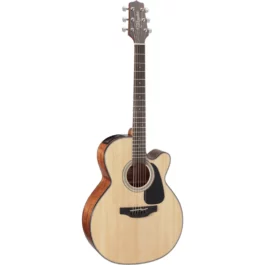 TAKAMINE GN30CENAT