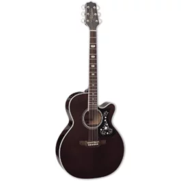 TAKAMINE GN75CETBK