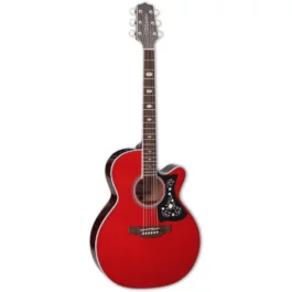 TAKAMINE GN75CE WR