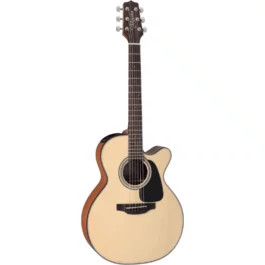 TAKAMINE GX18CE NS