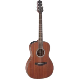 TAKAMINE GY11MENS