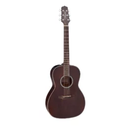 TAKAMINE GY21E-SM