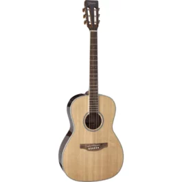 TAKAMINE GY51ENAT