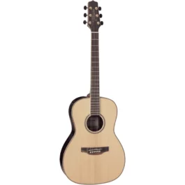 TAKAMINE GY93ENAT