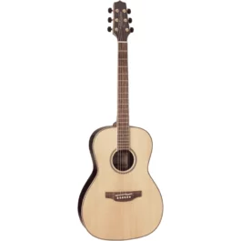 TAKAMINE GY93NAT