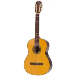 PLEYEL P100