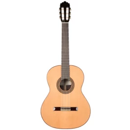SOLOIST500