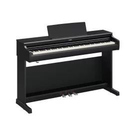 YDP166BK